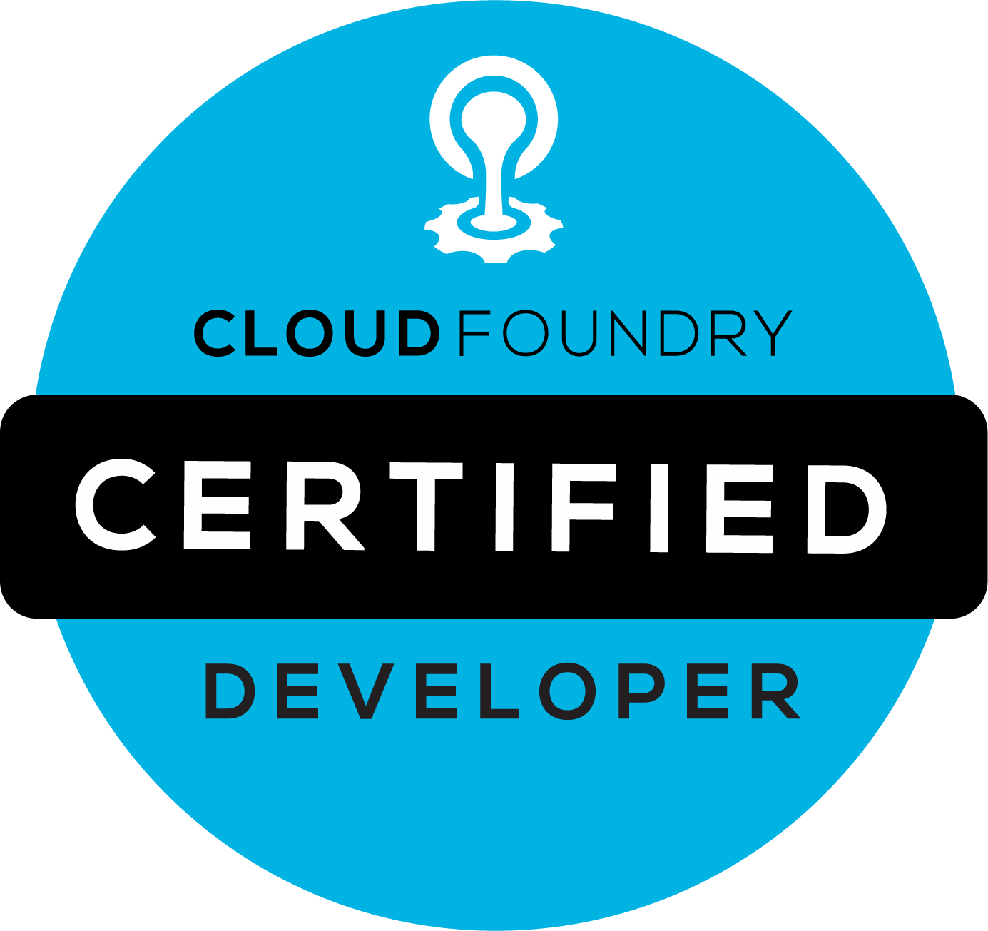 Cloud Foundry Certified Developer logo
